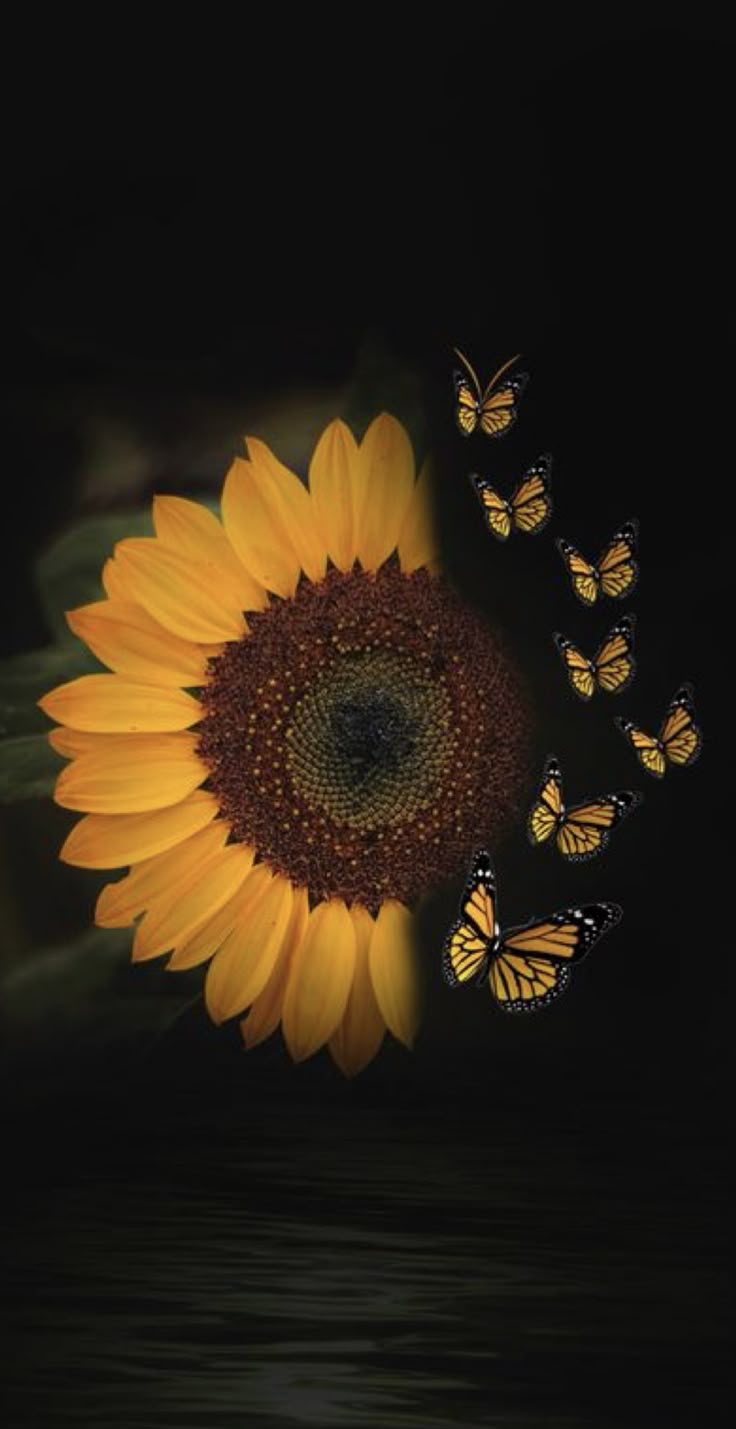⭐CUADRO PANORAMIC 01 GIRASOL 150X70cm⭐