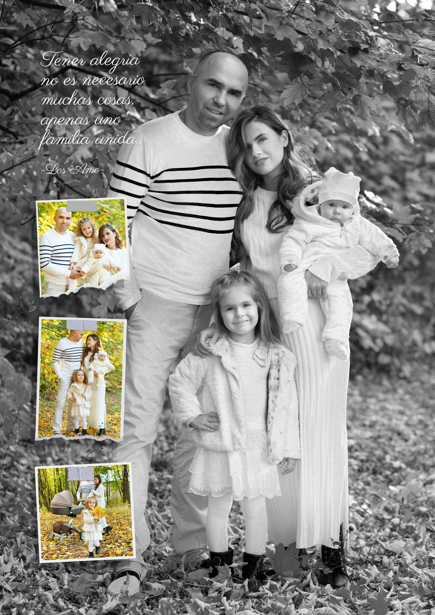 ⭐02 DISEÑO FAMILIA⭐