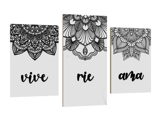 ⭐CUADRO HAMBIENT MANDALA 60X40CM⭐ — diseño original, PNG transparente, perspectiva izquierda 15°, sin halo