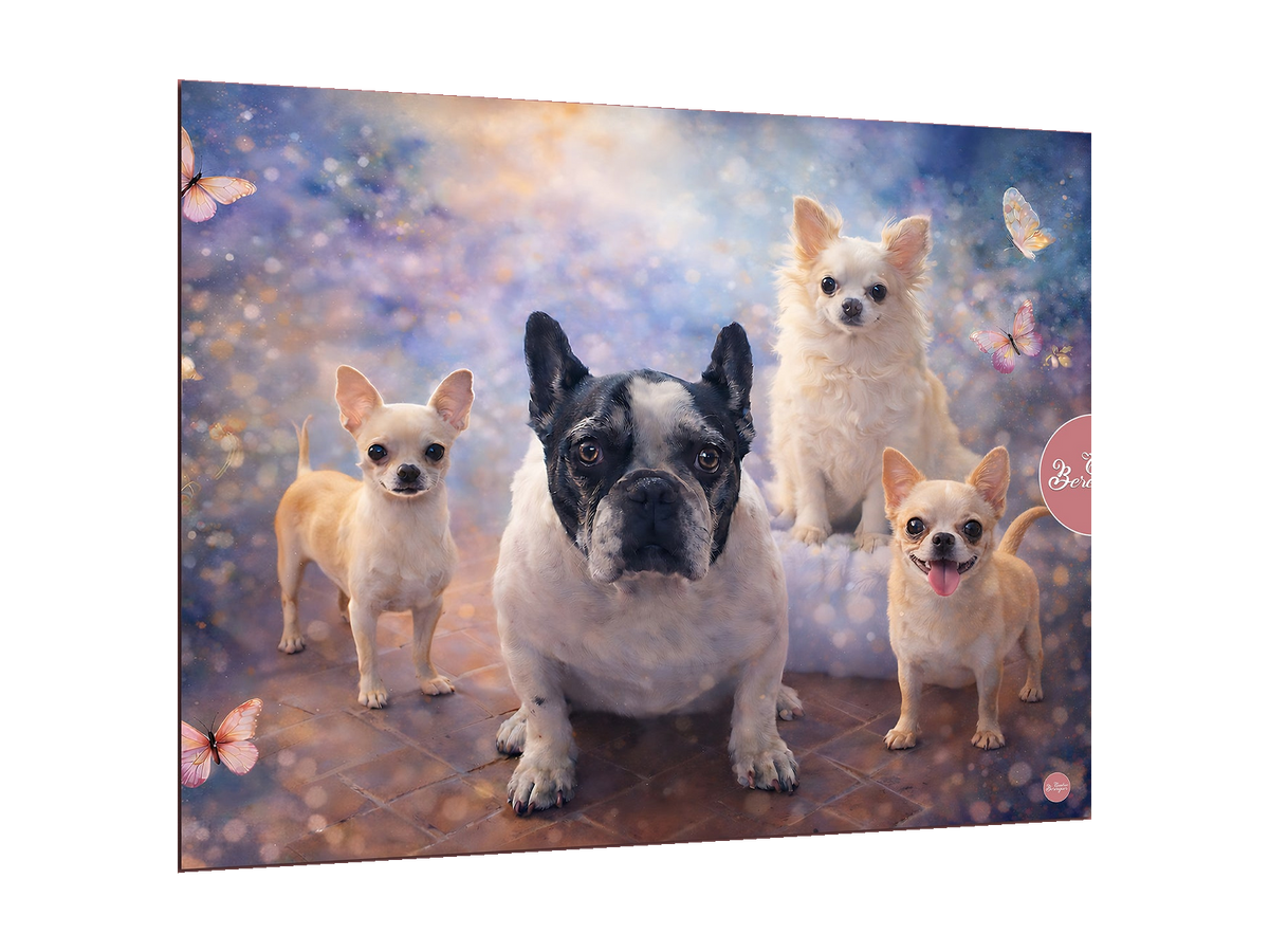 ⭐CUADRO MURAL CON DISEÑO RETRATO DE MASCOTAS ⭐ — diseño original, perspectiva izquierda 15°, fondo transparente